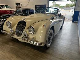 1954 Jaguar XK (CC-1707275) for sale in Fort Lauderdale, Florida