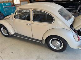 1967 Volkswagen Beetle (CC-1707856) for sale in Cadillac, Michigan