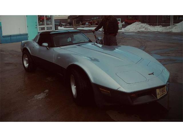 1981 Chevrolet Corvette (CC-1708333) for sale in Cadillac, Michigan