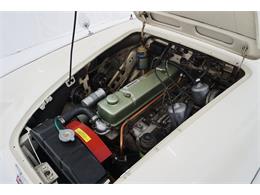 1966 Austin-Healey BJ8 (CC-1708499) for sale in St Louis, Missouri