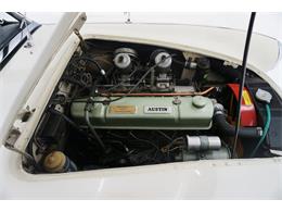 1966 Austin-Healey BJ8 (CC-1708499) for sale in St Louis, Missouri