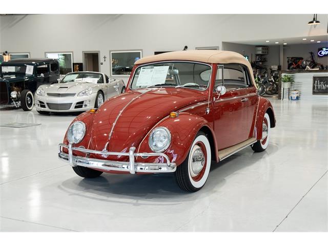 1964 Volkswagen Beetle (CC-1700865) for sale in Ocala, Florida