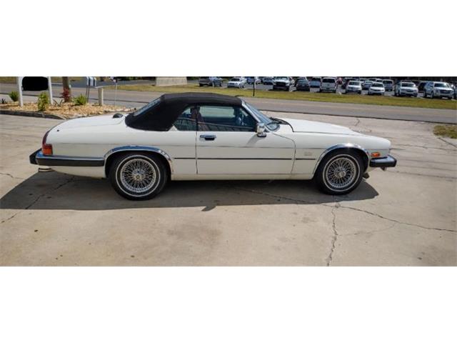 1990 Jaguar XJS (CC-1708945) for sale in Cadillac, Michigan