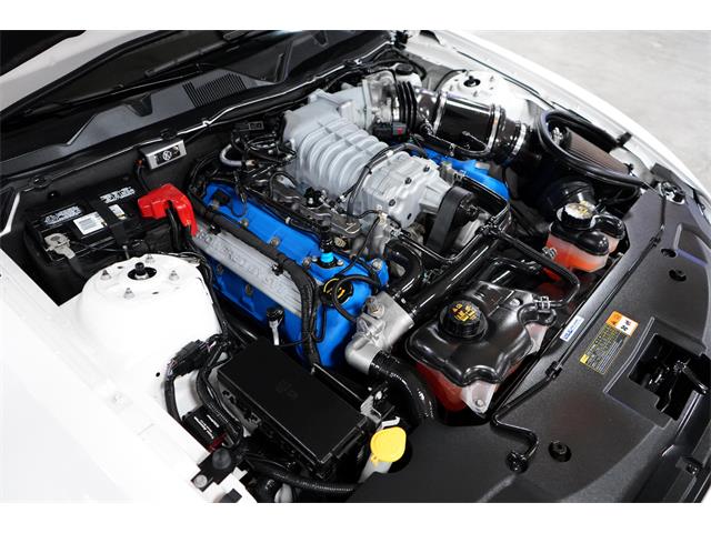 2012 Shelby GT500 (CC-1709639) for sale in Homer City, Pennsylvania