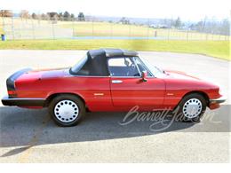 1988 Alfa Romeo Spider (CC-1709994) for sale in West Palm Beach, Florida