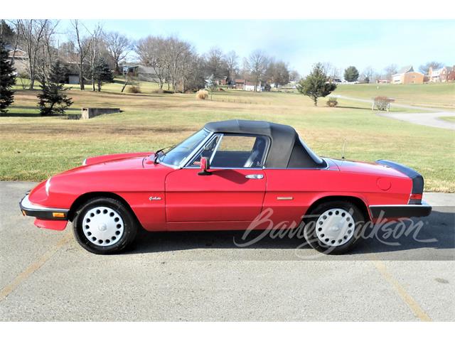 1988 Alfa Romeo Spider (CC-1709994) for sale in West Palm Beach, Florida