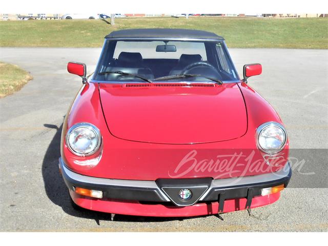 1988 Alfa Romeo Spider (CC-1709994) for sale in West Palm Beach, Florida