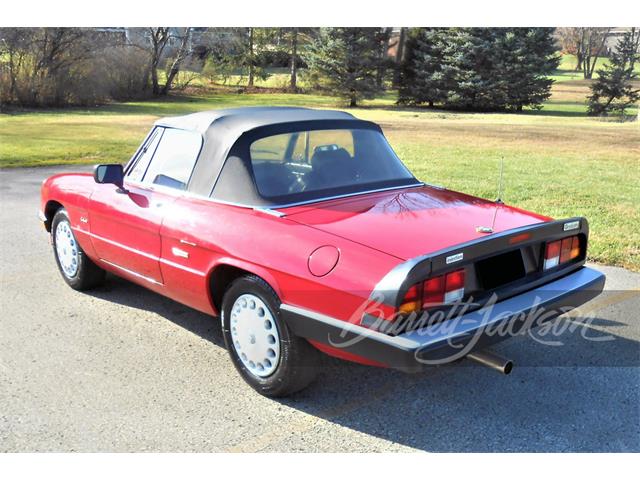 1988 Alfa Romeo Spider (CC-1709994) for sale in West Palm Beach, Florida