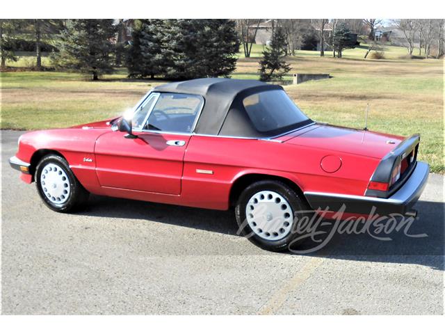 1988 Alfa Romeo Spider (CC-1709994) for sale in West Palm Beach, Florida