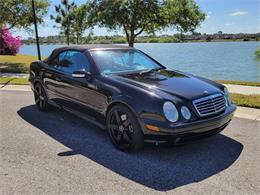 2002 Mercedes-Benz CLK-Class (CC-1711807) for sale in Tampa, Florida