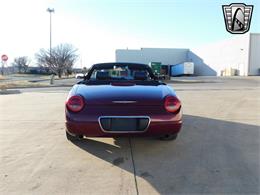 2004 Ford Thunderbird (CC-1711823) for sale in O'Fallon, Illinois