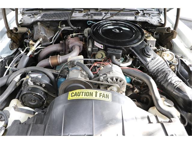 1980 Pontiac Firebird Trans Am (CC-1711867) for sale in Fort McMurray, Alberta