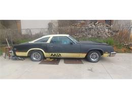 1977 Oldsmobile Cutlass (CC-1711960) for sale in Cadillac, Michigan