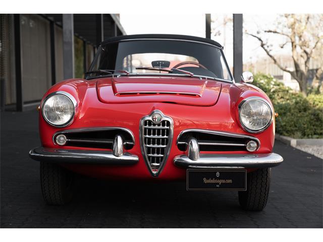 1964 Alfa Romeo Giulietta Spider for Sale | ClassicCars.com | CC 