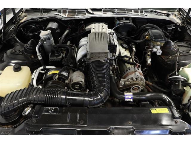 1988 Pontiac Firebird (CC-1712833) for sale in Lutz, Florida