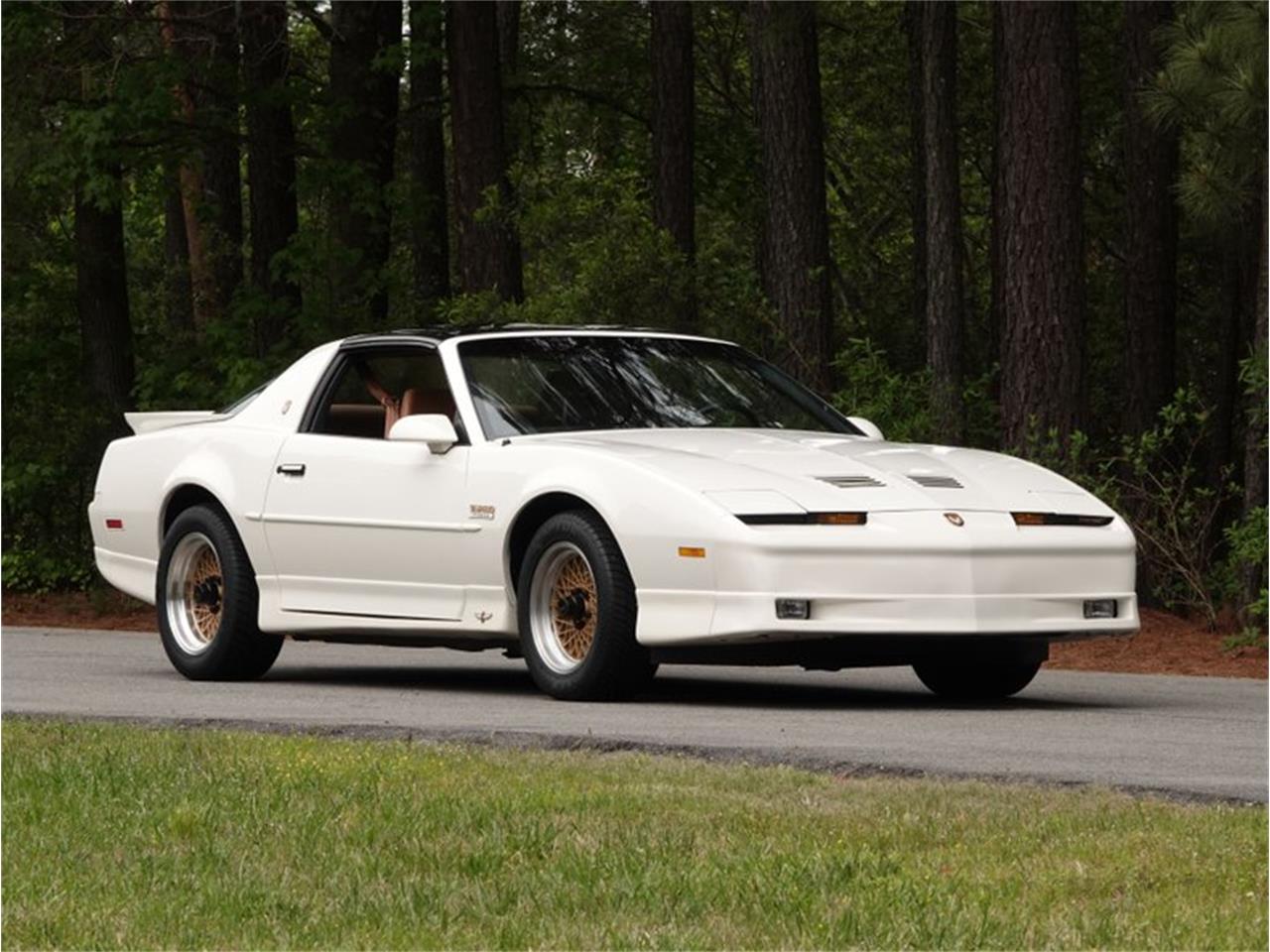 1989 Pontiac Firebird Trans Am Gta For Sale 