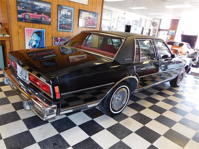 1977 Chevrolet Caprice (CC-1713410) for sale in Farmington, Michigan