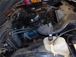1977 Chevrolet Caprice (CC-1713410) for sale in Farmington, Michigan