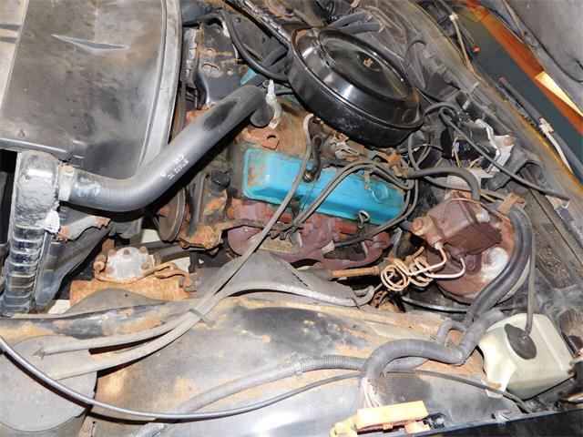 1977 Chevrolet Caprice (CC-1713410) for sale in Farmington, Michigan