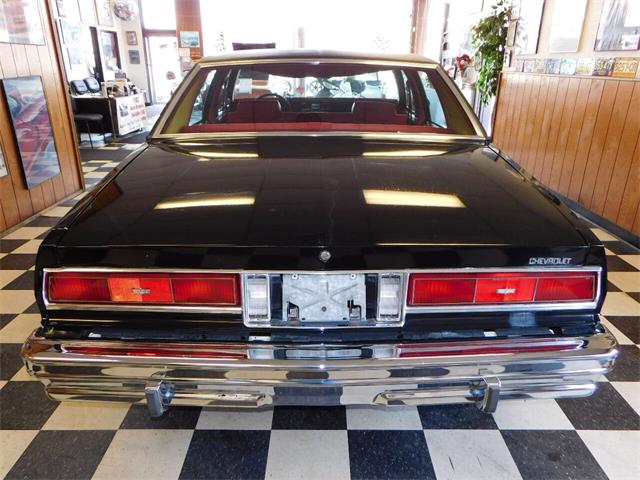 1977 Chevrolet Caprice (CC-1713410) for sale in Farmington, Michigan