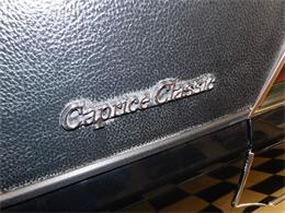 1977 Chevrolet Caprice (CC-1713410) for sale in Farmington, Michigan