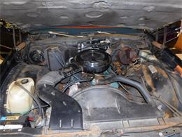 1977 Chevrolet Caprice (CC-1713410) for sale in Farmington, Michigan