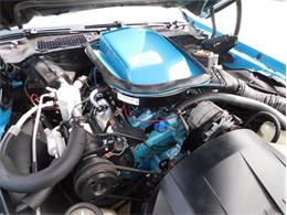 1979 Pontiac Firebird Trans Am (CC-1713417) for sale in Fenton, Missouri