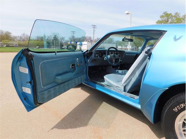 1979 Pontiac Firebird Trans Am (CC-1713417) for sale in Fenton, Missouri