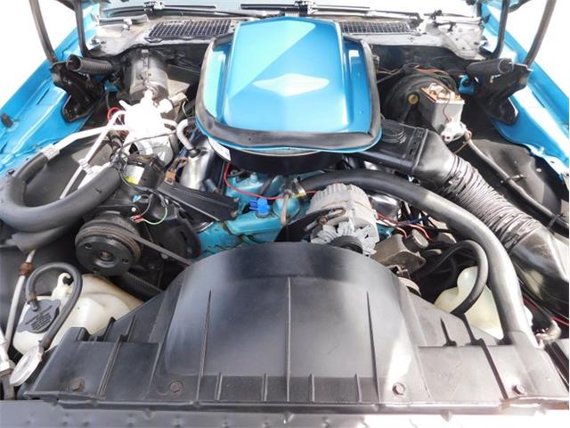 1979 Pontiac Firebird Trans Am (CC-1713417) for sale in Fenton, Missouri