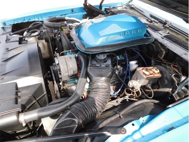 1979 Pontiac Firebird Trans Am (CC-1713417) for sale in Fenton, Missouri
