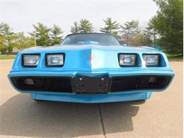 1979 Pontiac Firebird Trans Am (CC-1713417) for sale in Fenton, Missouri