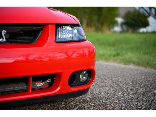 2003 Ford Mustang SVT Cobra (CC-1713454) for sale in Warner Robins, Georgia