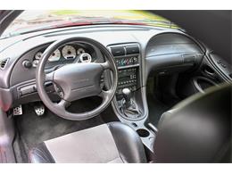 2003 Ford Mustang SVT Cobra (CC-1713454) for sale in Warner Robins, Georgia