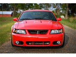 2003 Ford Mustang SVT Cobra (CC-1713454) for sale in Warner Robins, Georgia