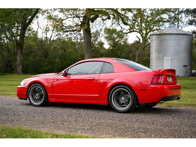 2003 Ford Mustang SVT Cobra (CC-1713454) for sale in Warner Robins, Georgia