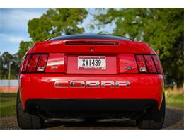 2003 Ford Mustang SVT Cobra (CC-1713454) for sale in Warner Robins, Georgia