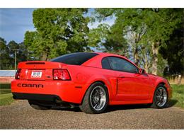 2003 Ford Mustang SVT Cobra (CC-1713454) for sale in Warner Robins, Georgia