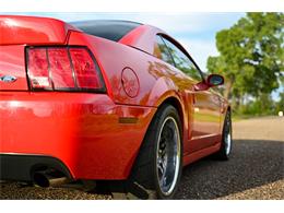 2003 Ford Mustang SVT Cobra (CC-1713454) for sale in Warner Robins, Georgia