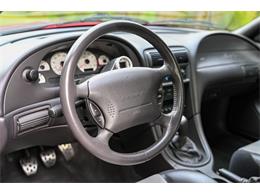 2003 Ford Mustang SVT Cobra (CC-1713454) for sale in Warner Robins, Georgia