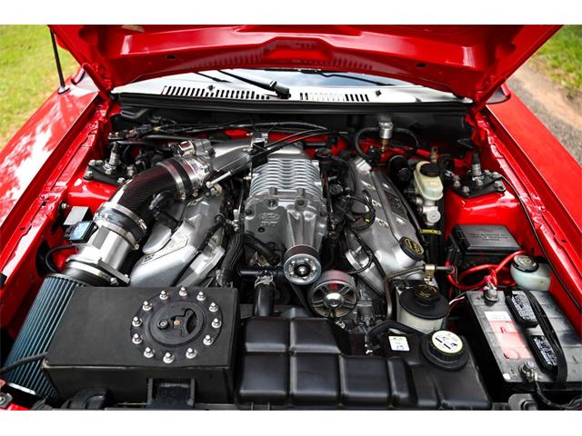 2003 Ford Mustang SVT Cobra (CC-1713454) for sale in Warner Robins, Georgia