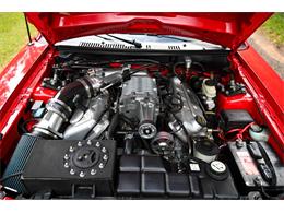 2003 Ford Mustang SVT Cobra (CC-1713454) for sale in Warner Robins, Georgia