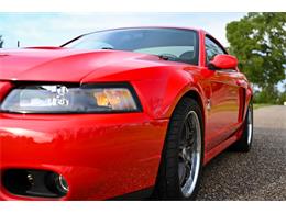 2003 Ford Mustang SVT Cobra (CC-1713454) for sale in Warner Robins, Georgia
