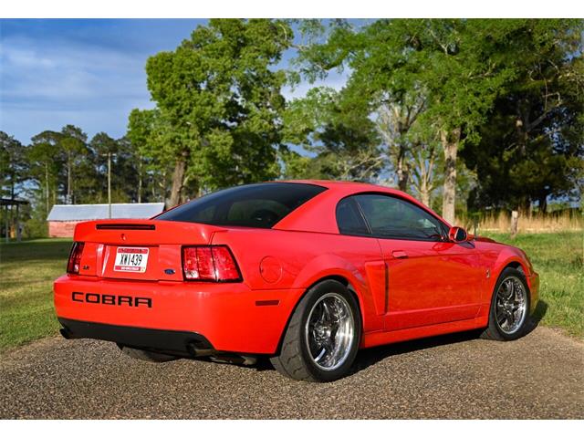2003 Ford Mustang SVT Cobra (CC-1713454) for sale in Warner Robins, Georgia
