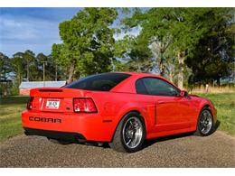 2003 Ford Mustang SVT Cobra (CC-1713454) for sale in Warner Robins, Georgia