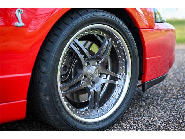 2003 Ford Mustang SVT Cobra (CC-1713454) for sale in Warner Robins, Georgia