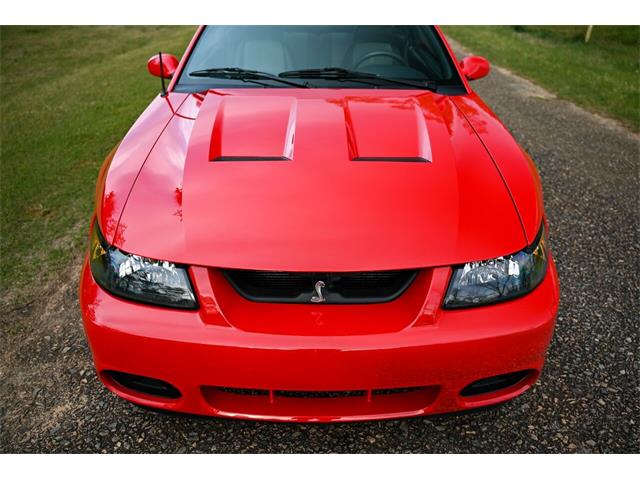 2003 Ford Mustang SVT Cobra (CC-1713454) for sale in Warner Robins, Georgia
