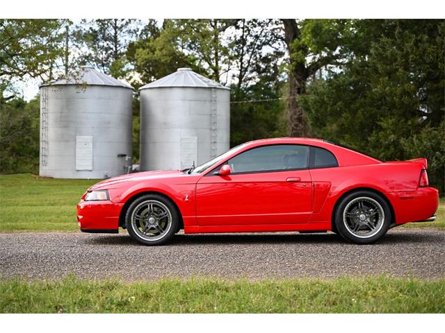 2003 Ford Mustang SVT Cobra (CC-1713454) for sale in Warner Robins, Georgia