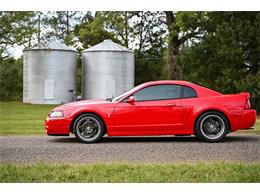 2003 Ford Mustang SVT Cobra (CC-1713454) for sale in Warner Robins, Georgia