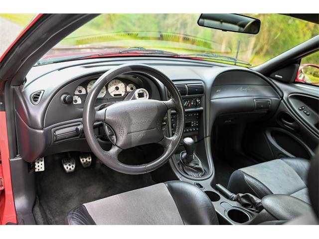 2003 Ford Mustang SVT Cobra (CC-1713454) for sale in Warner Robins, Georgia