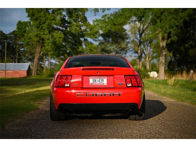 2003 Ford Mustang SVT Cobra (CC-1713454) for sale in Warner Robins, Georgia